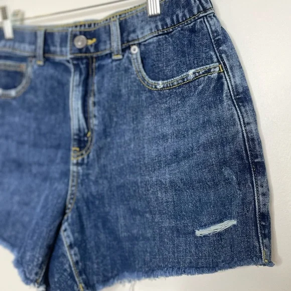 NWT Aerie Daydream Denim Distressed Shorts M - Picture 5 of 13